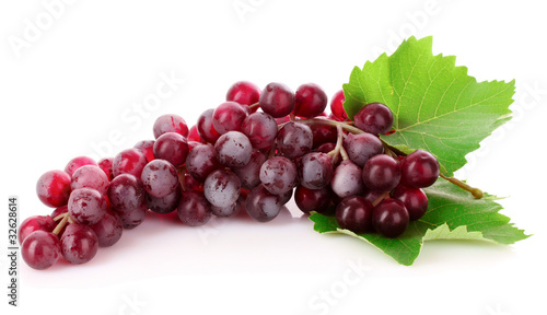 Pink grape cluster isolated on white
