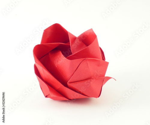 rosa kawasaki