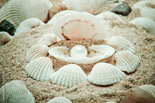 sea pearl in shells on sand . The exotic sea shell