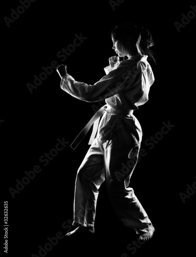 karate girl © Serg Zastavkin