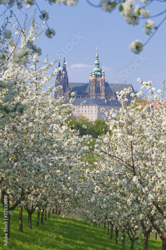 Photography prague hradcany castle