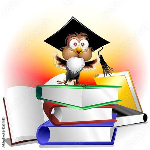 Libri Esame e Gufo Professore-Owl Teacher Cartoon on Books photo