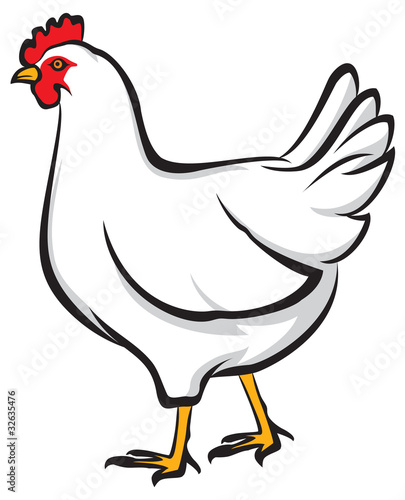 Chicken (Hen) Vector Illustration