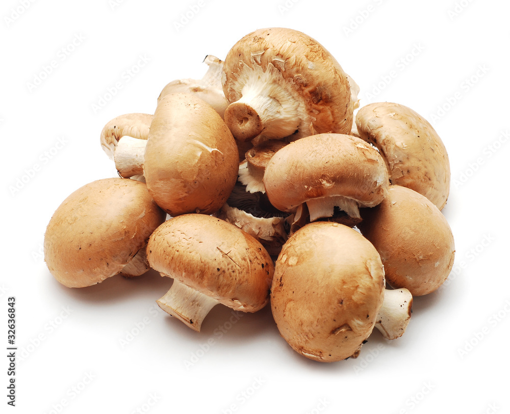 mushrooms mushrooms