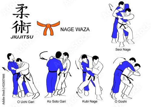 Jiu Jitsu Nage Waza 2