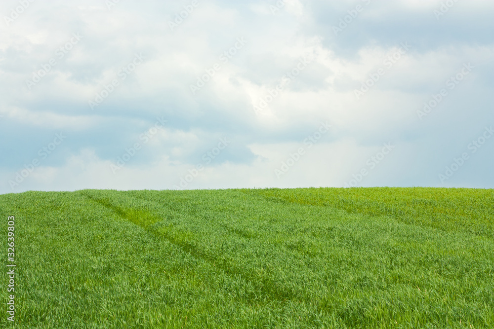 Naklejka premium Rainy day on the farm