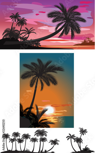 Palm trees at sunset © Viktoriia Protsak