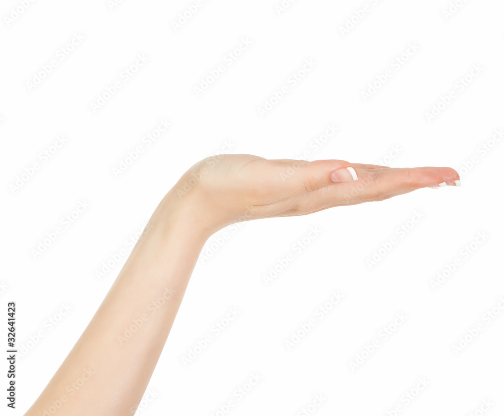 hold palm hold palm