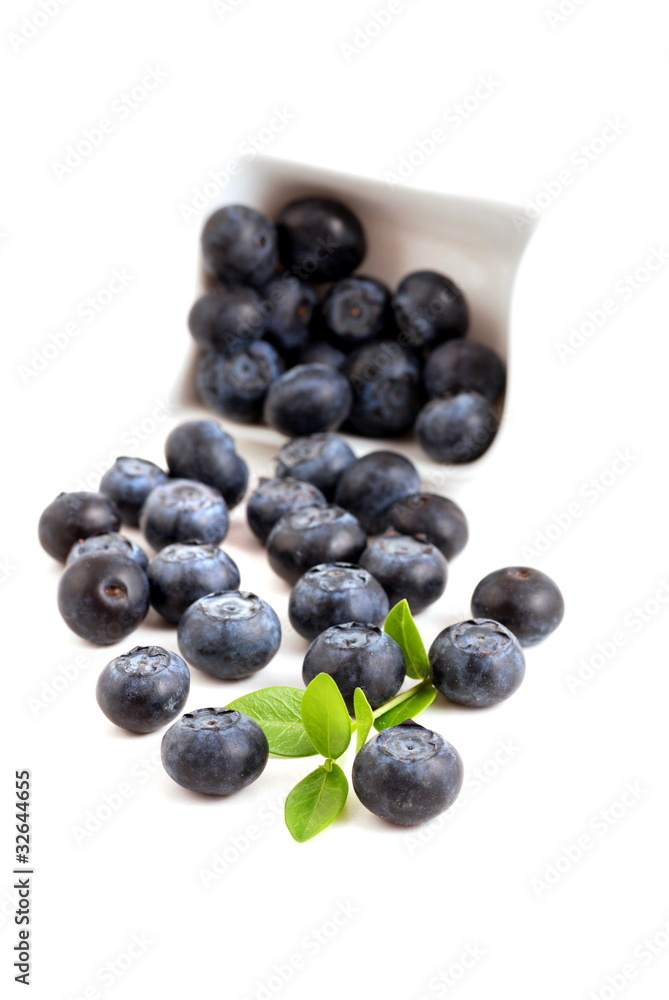 Heidelbeeren Heidelbeeren
