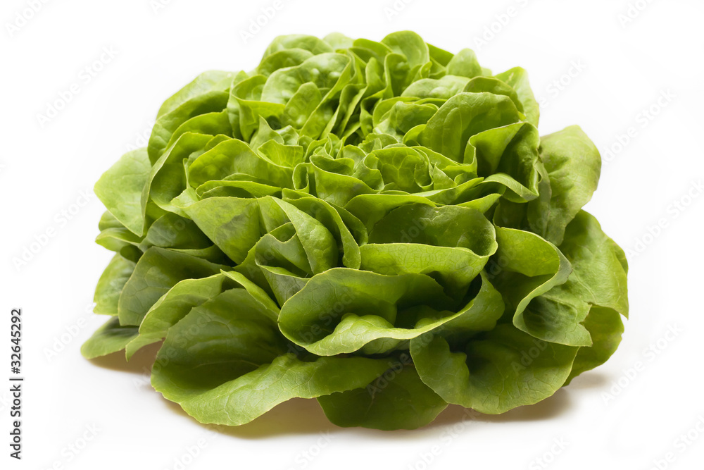 Obraz premium Grüner Salat