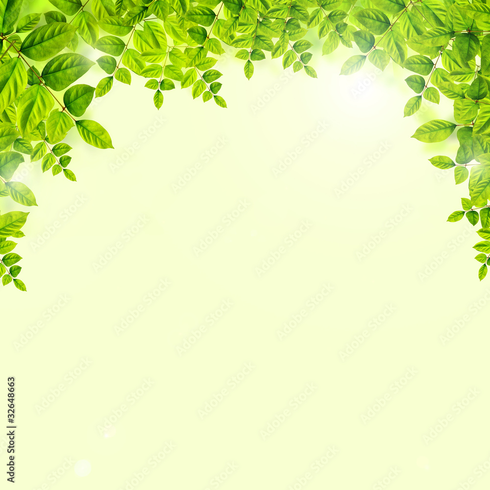 Fresh green leaves background