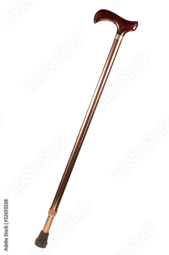 Obraz na plátne walking stick