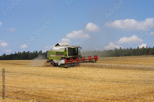 harvesting corn