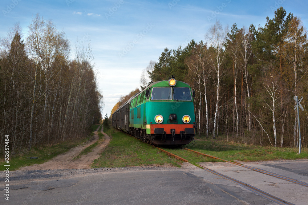 Naklejka premium Passenger train passing through the forest