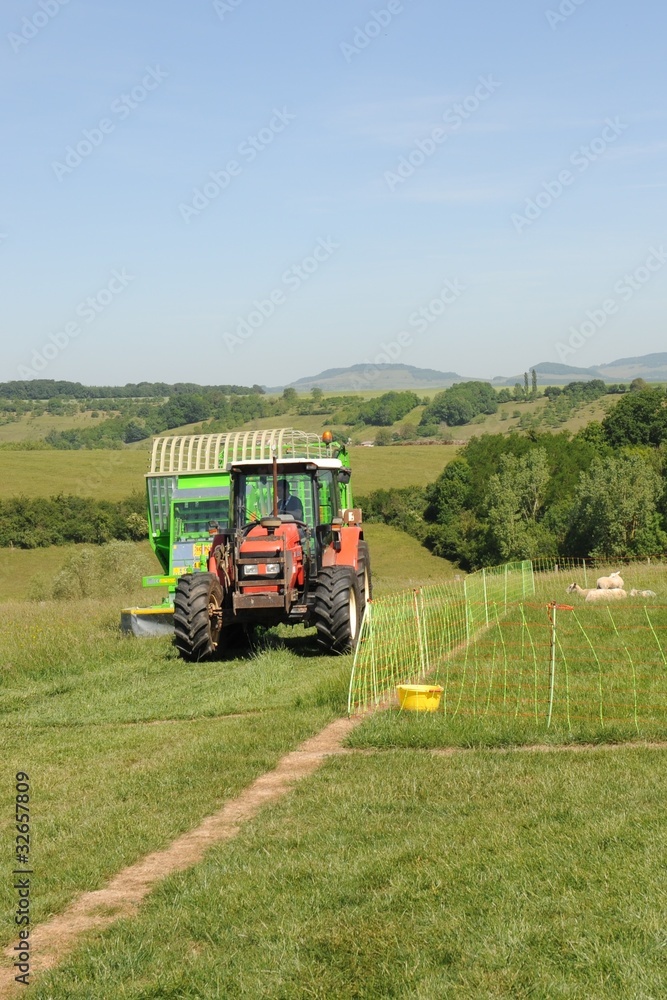 Fototapeta premium moisson