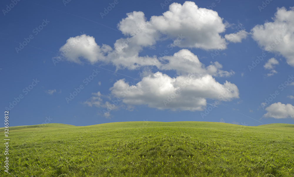 landschaft mit gras himmel und wolken