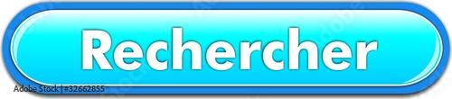 bouton rechercher