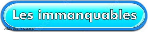 bouton les immanquables