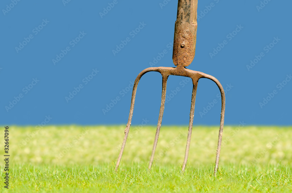 Forke StockFoto Adobe Stock