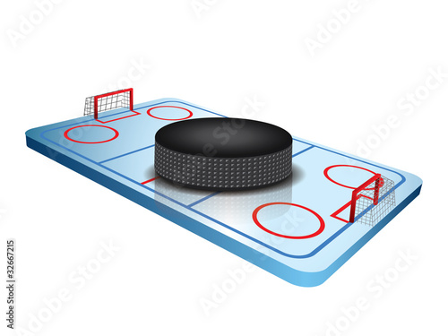 3d Hockey field vector
