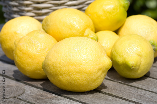 Lemons and a basket in a garden