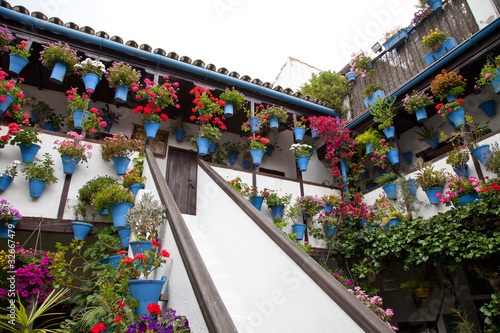 Escalera en un patio de Córdoba