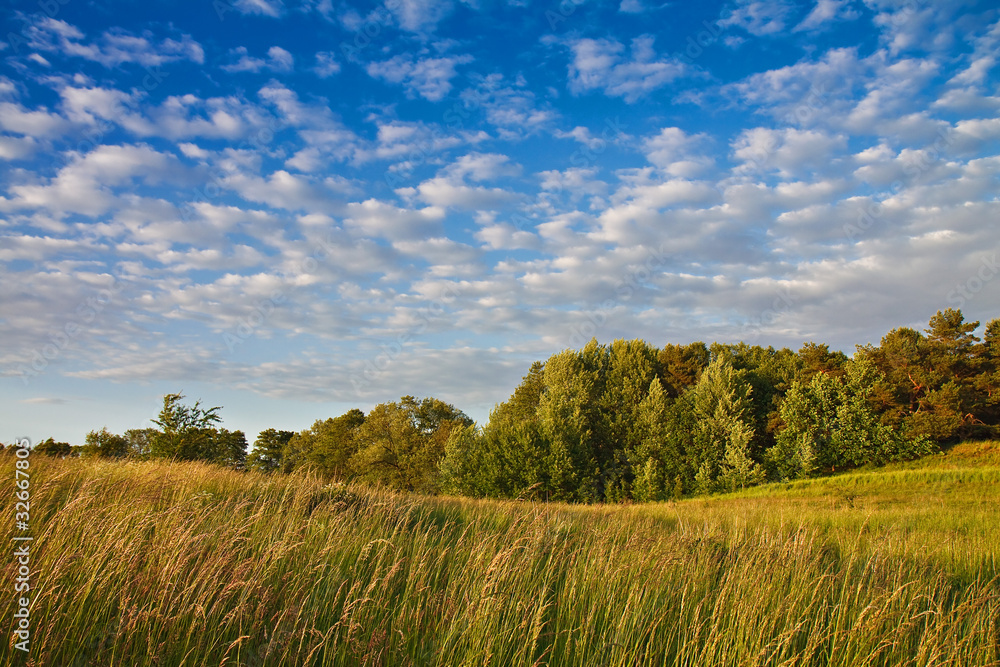 Fototapeta premium Feldberger Seenlandschaft.