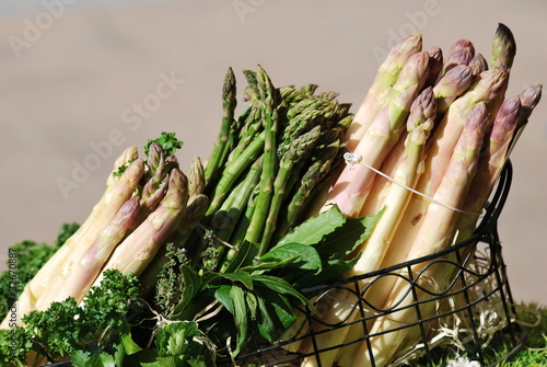 Obraz na płótnie asperges du roussillon