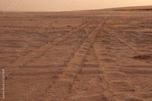 tyre tracks across the sand