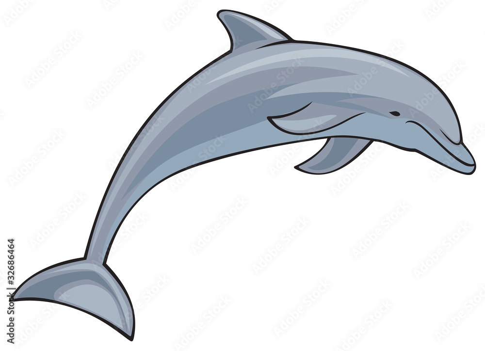 Obraz premium dolphin