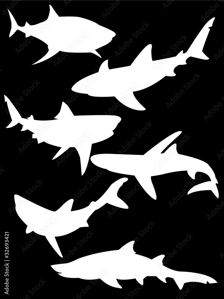 silhouette of white sharks isolated on black - vector silhouette of white sharks isolated on black - vector