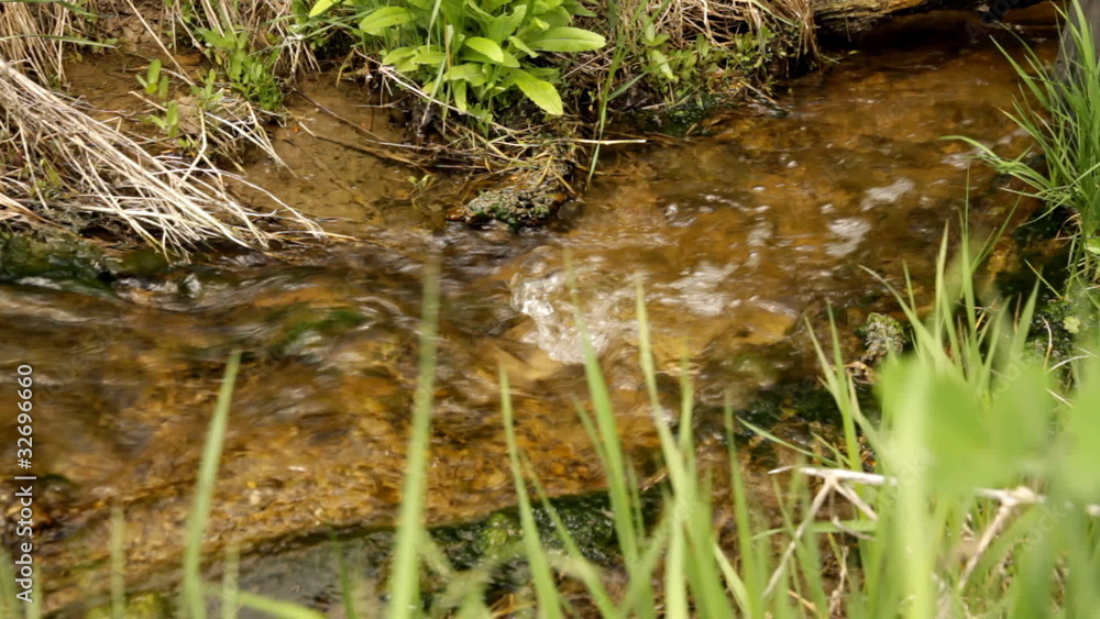 Creek flows in wood Creek flows in wood