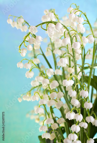 Fototapeta Naklejka Na Ścianę i Meble -  Muguet.