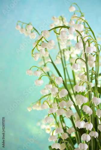 Fototapeta Naklejka Na Ścianę i Meble -  Lily.