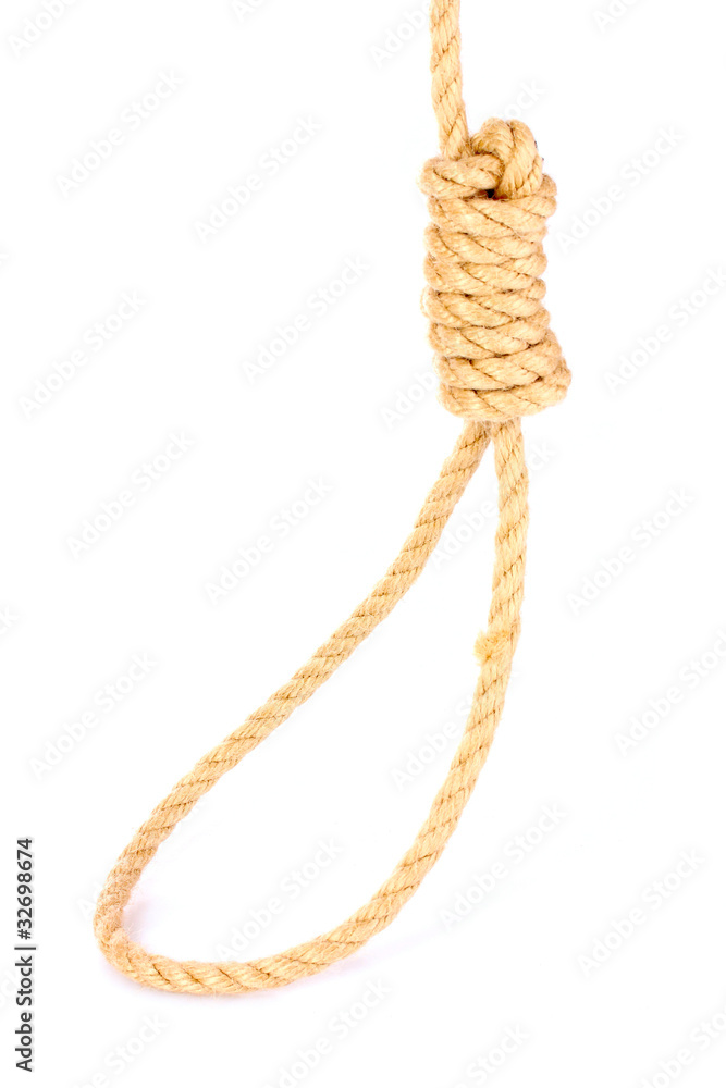 Suicide Noose isolated on white Suicide Noose isolated on white