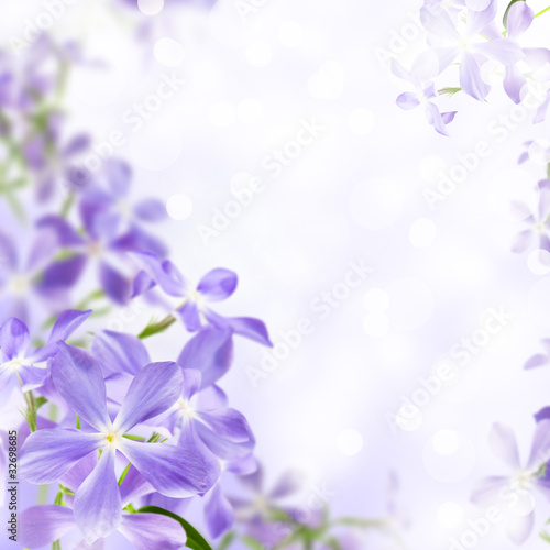 flowers blue © Tatiana Yakovleva
