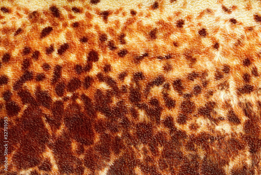 Leopard texture Leopard texture