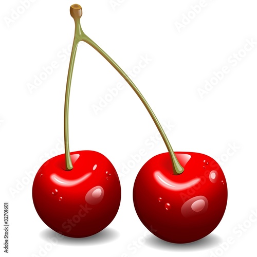 Ciliegie-Cherries-Cerises-Vector