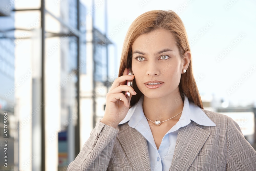 Beautiful businesswoman talking on mobile phone Beautiful businesswoman talking on mobile phone