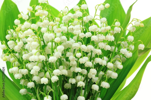 Fototapeta Naklejka Na Ścianę i Meble -  Flowers