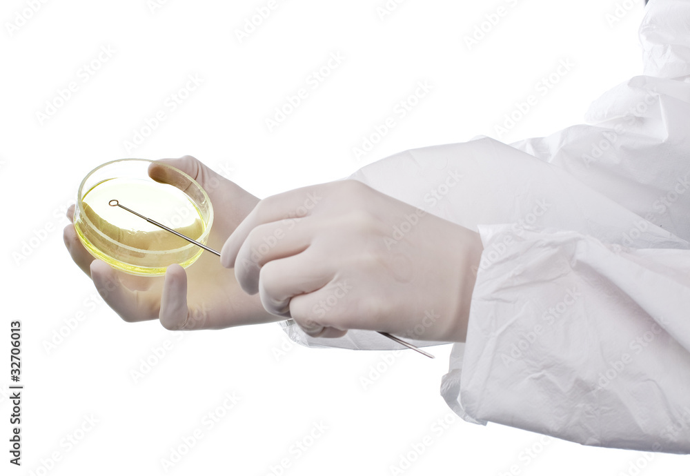 Scientist or chemist with petri dish Scientist or chemist with petri dish