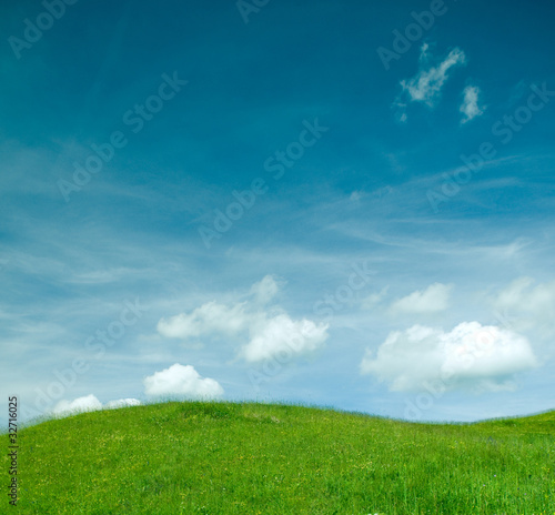 Green grass and blue sky