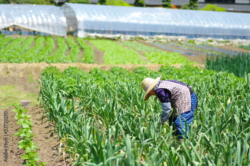 畑で働く女性