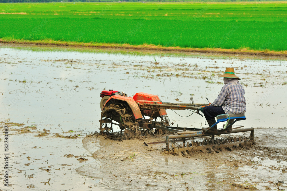Obraz premium farmer with rice tractor