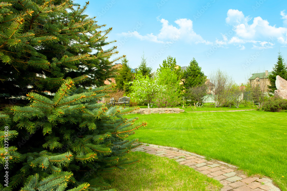 View of landscaped backyard of home