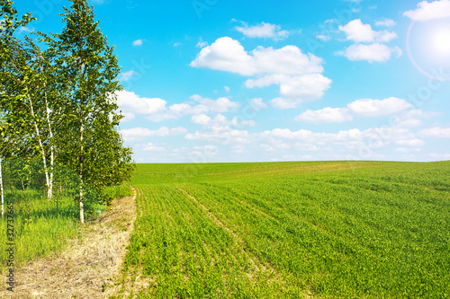 sunny fields of landscape