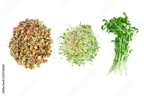 Bild auf Leinwand vegetarian food