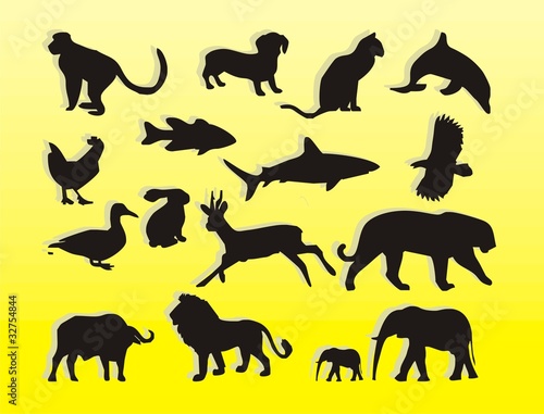 Fototapeta Naklejka Na Ścianę i Meble -  illustration silhouette vector animal