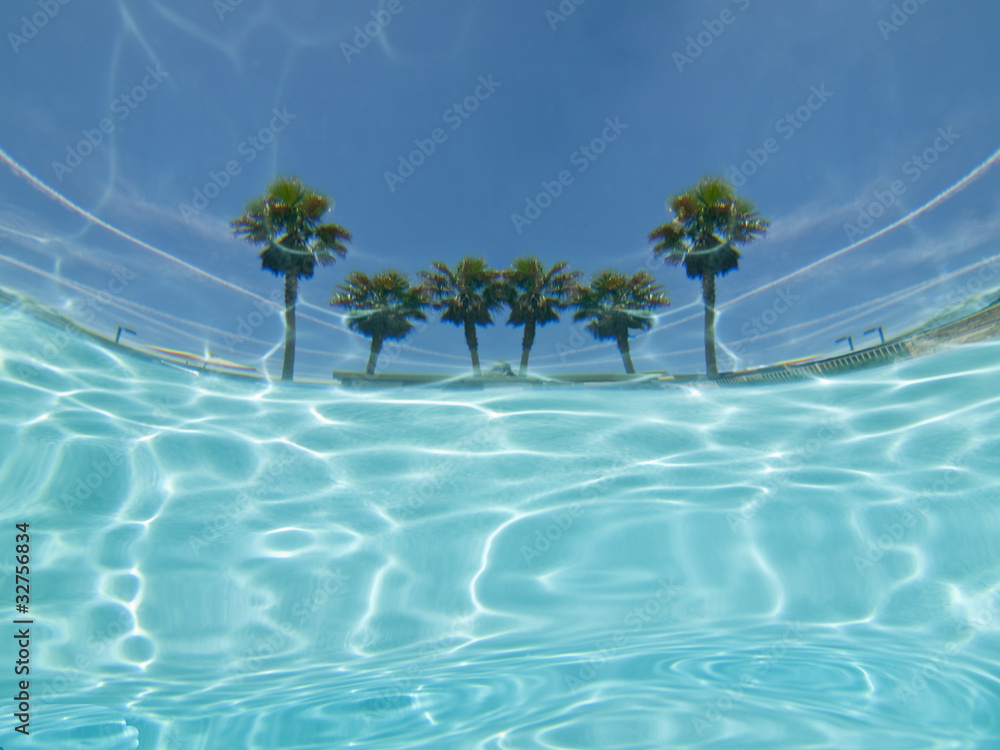 Obraz premium Underwater palm tree pool view abstract.