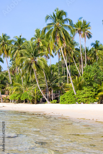 Tropical beach with palm trees on the sand near the sea